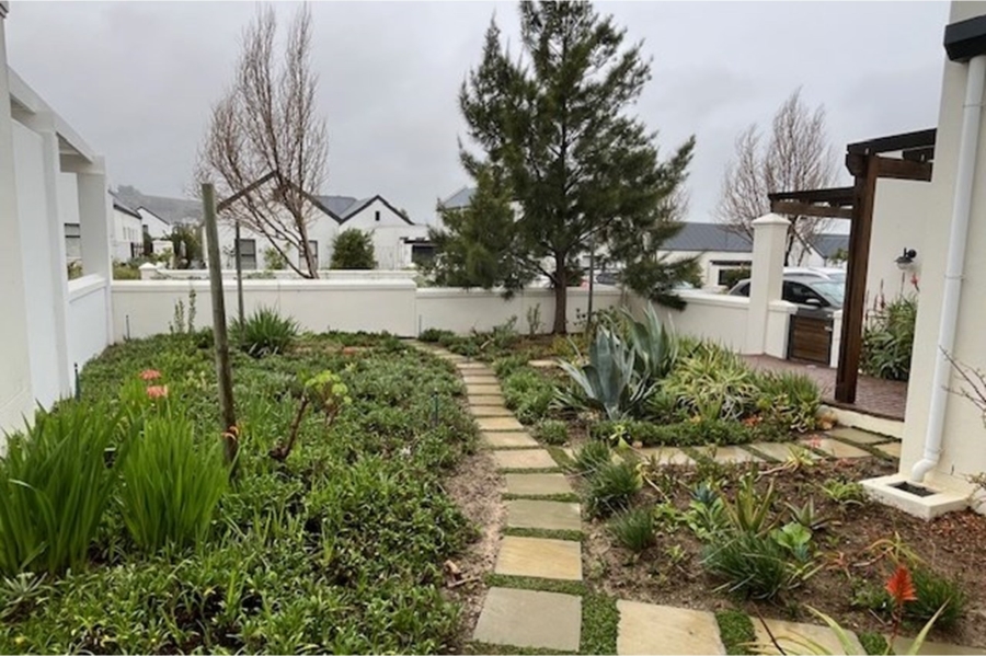 To Let 4 Bedroom Property for Rent in Croydon Olive Estate Western Cape